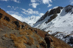 Load image into Gallery viewer, Pure Shilajit Resin – Wild-Harvested from Badakhshan, Afghanistan