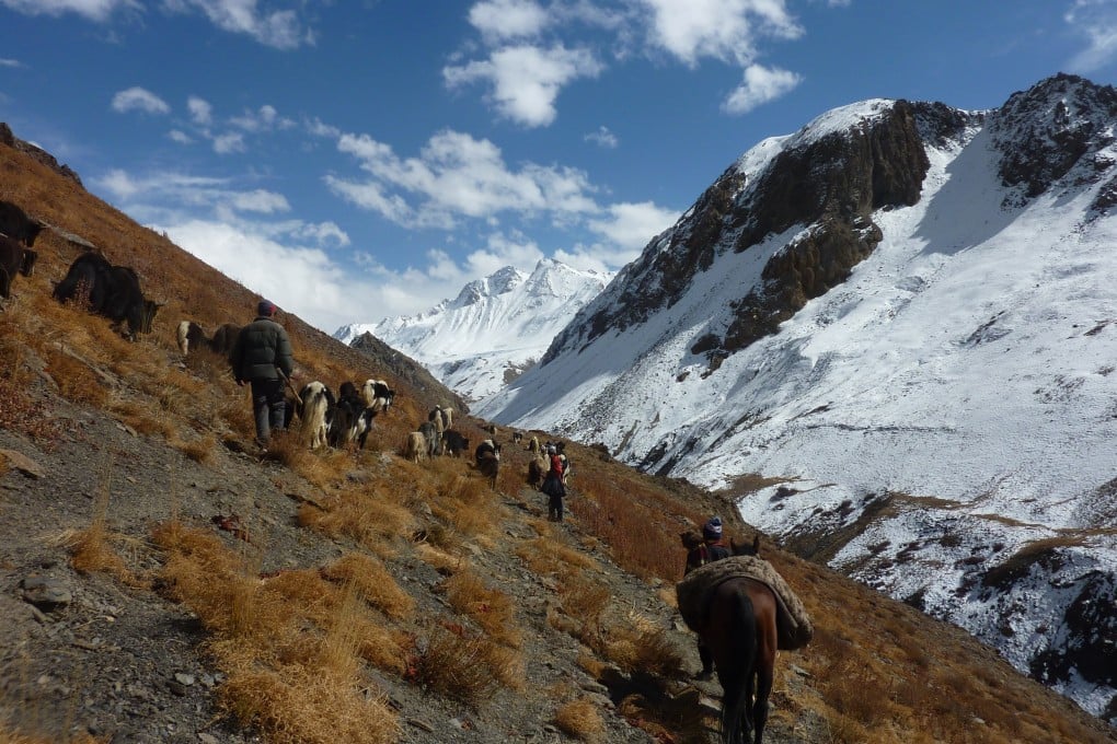 Pure Shilajit Resin – Wild-Harvested from Badakhshan, Afghanistan